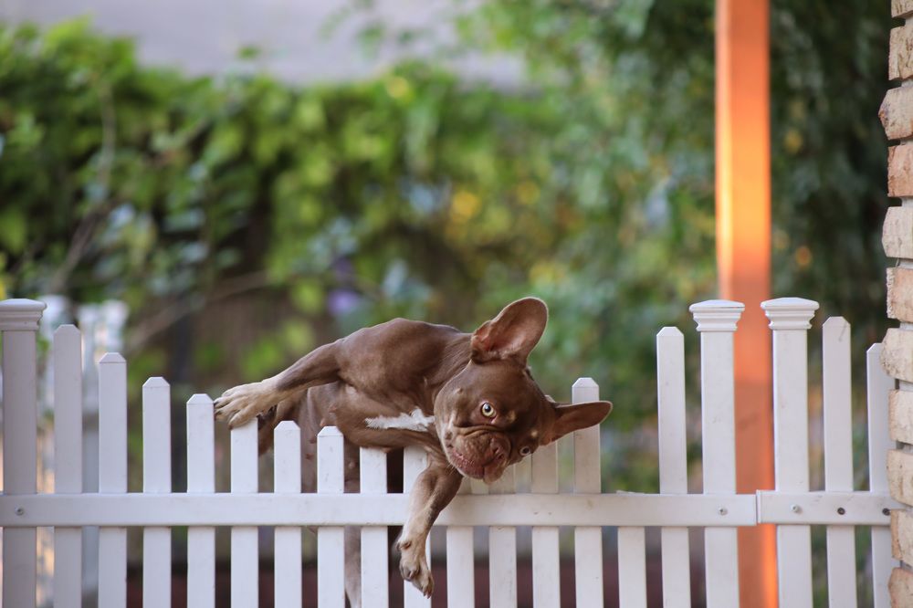 There is no barrier.