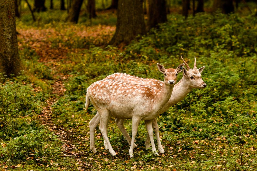 Photograph by Андрей Бондаренко