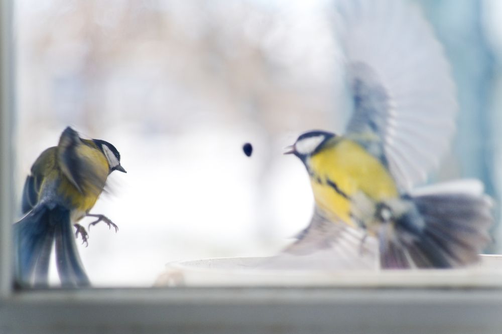 Photograph by Yuliya Karpova