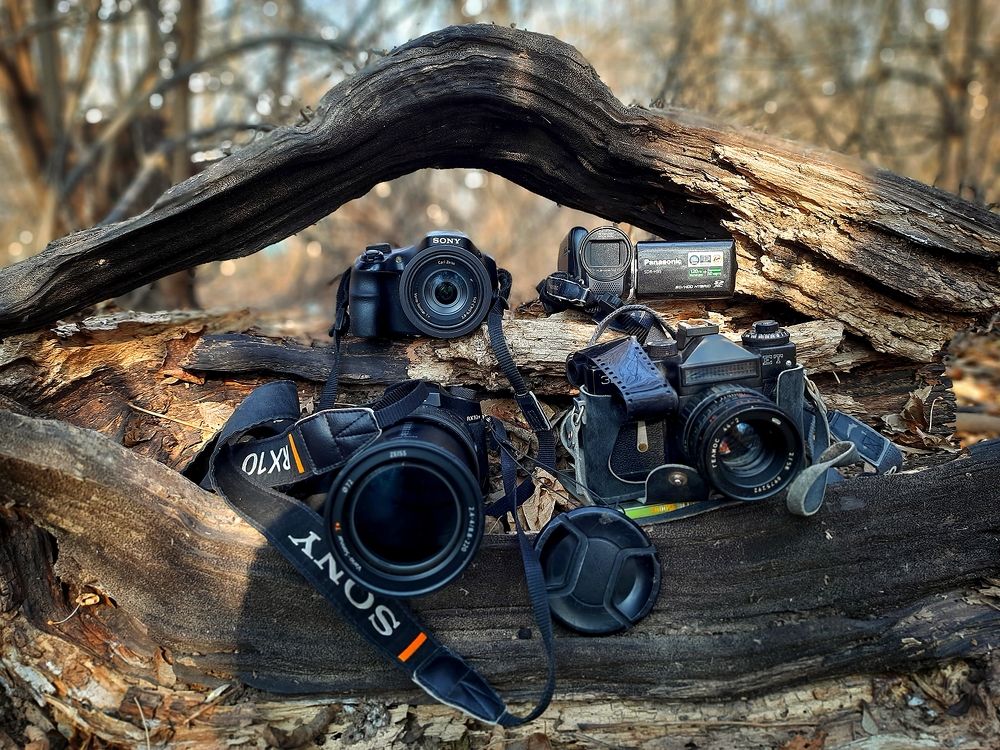 Лесной, технологический натюрморт.