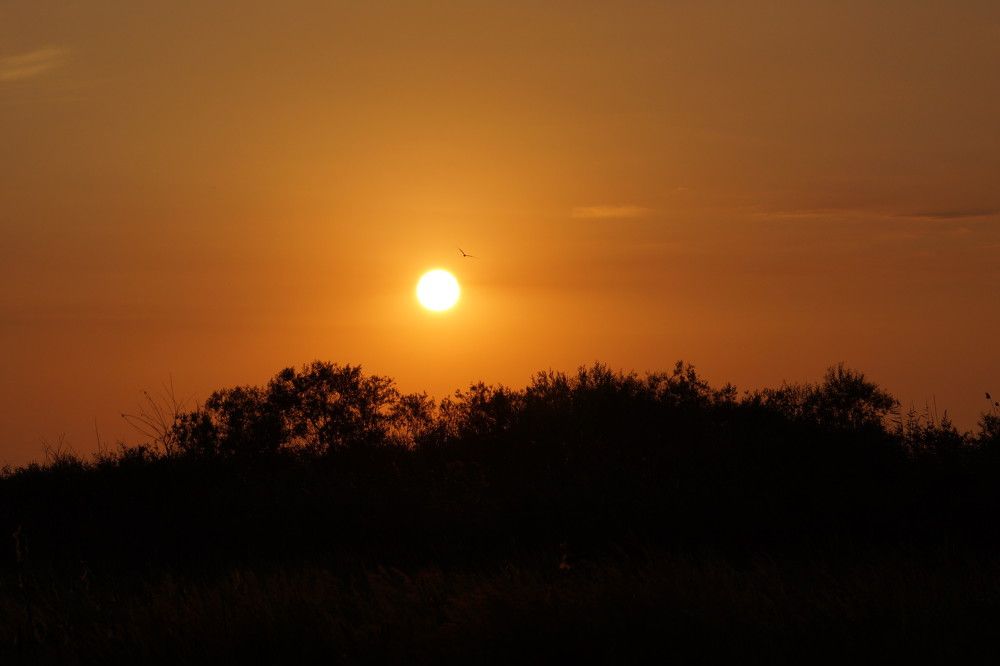 Photograph by Анна Самара