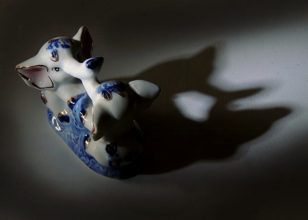 Photograph by Савоцкий Роман