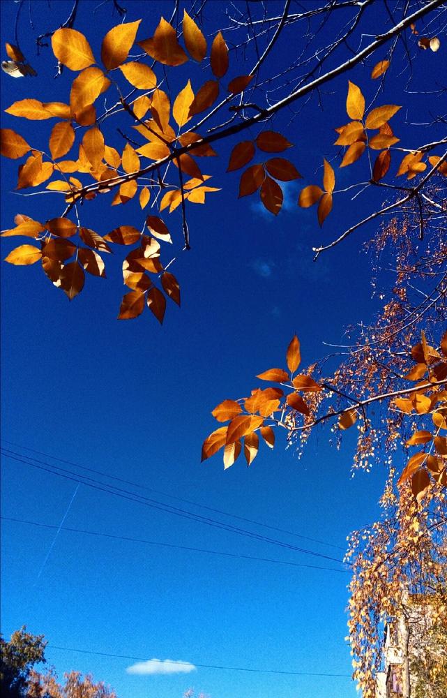 Photograph by Ксения Трофимова