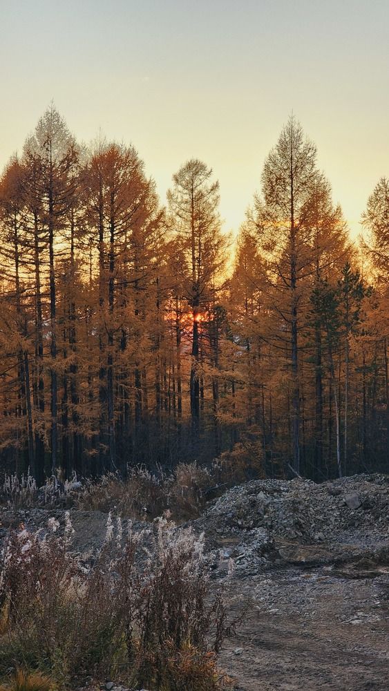 Photo #11349620