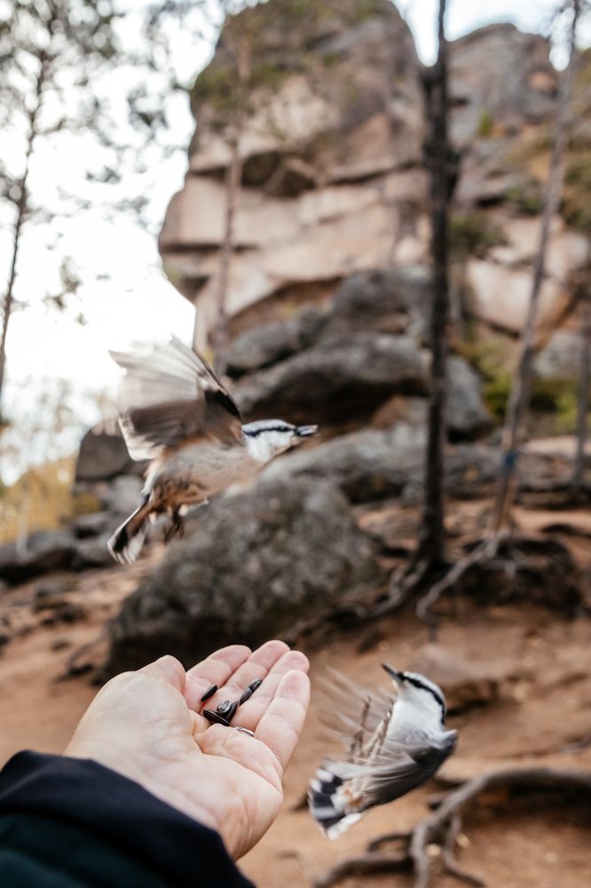 Photograph by Корчагина Оксана