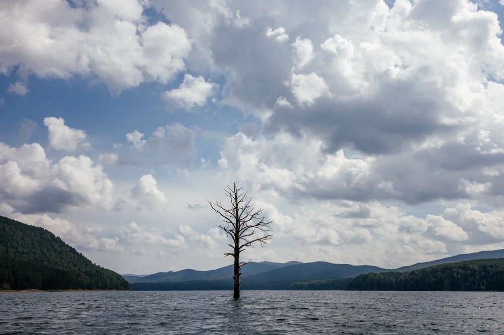 Photograph by Корчагина Оксана