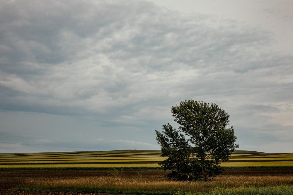 Photograph by Корчагина Оксана