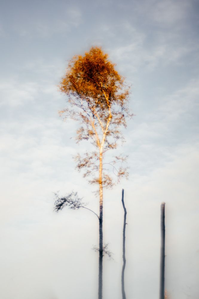 Photograph by Корчагина Оксана