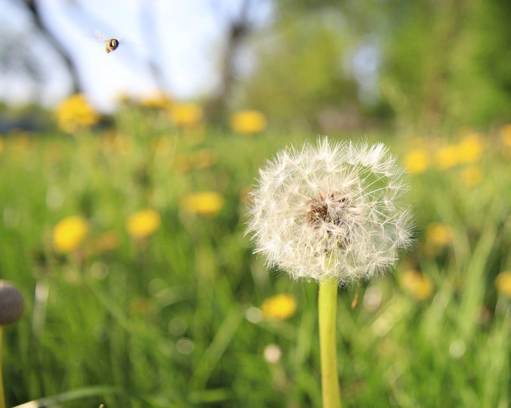 Photograph by Влад Барышов