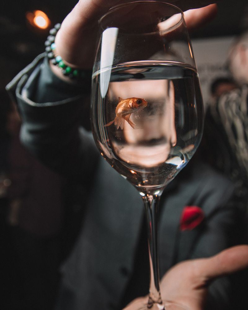 Photograph by Влад Барышов