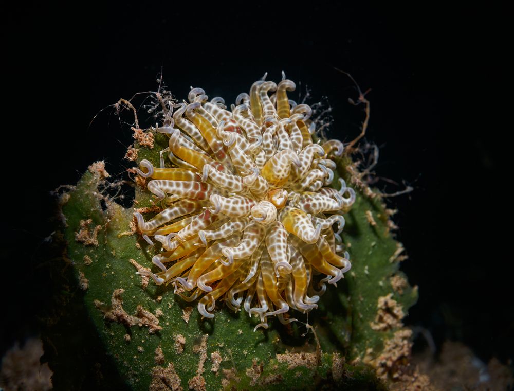 Photograph by Савин Андрей