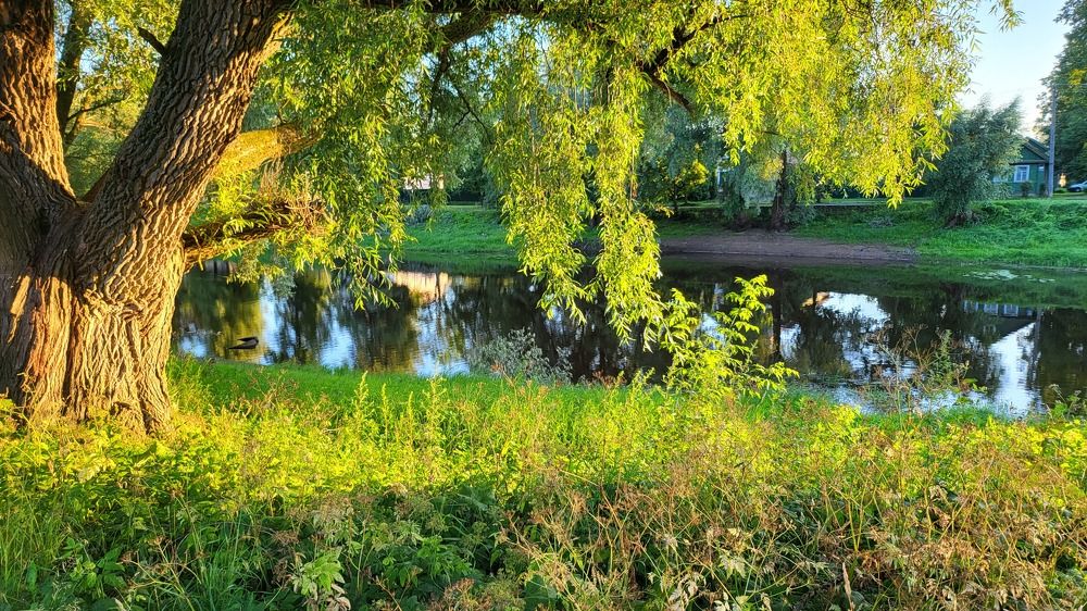 Photograph by Игорь