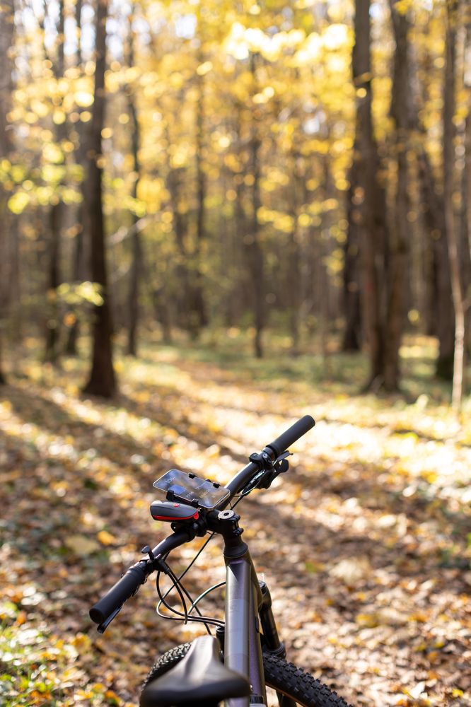 Photograph by Наталья Угрюмова