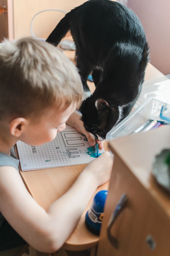 Photograph by Екатерина Абатурова