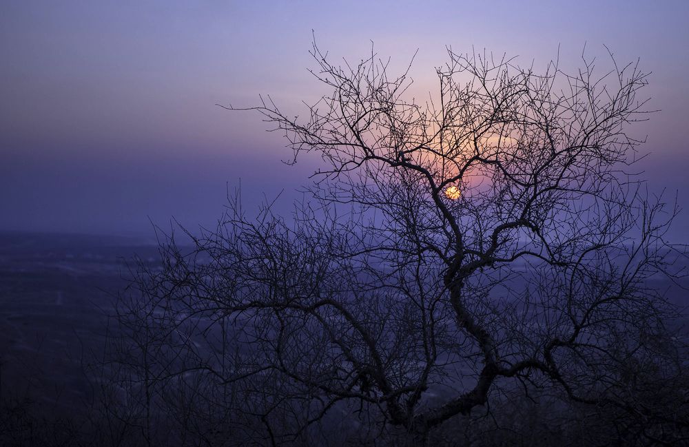 Фотография автора Abie Davies Thekkanath