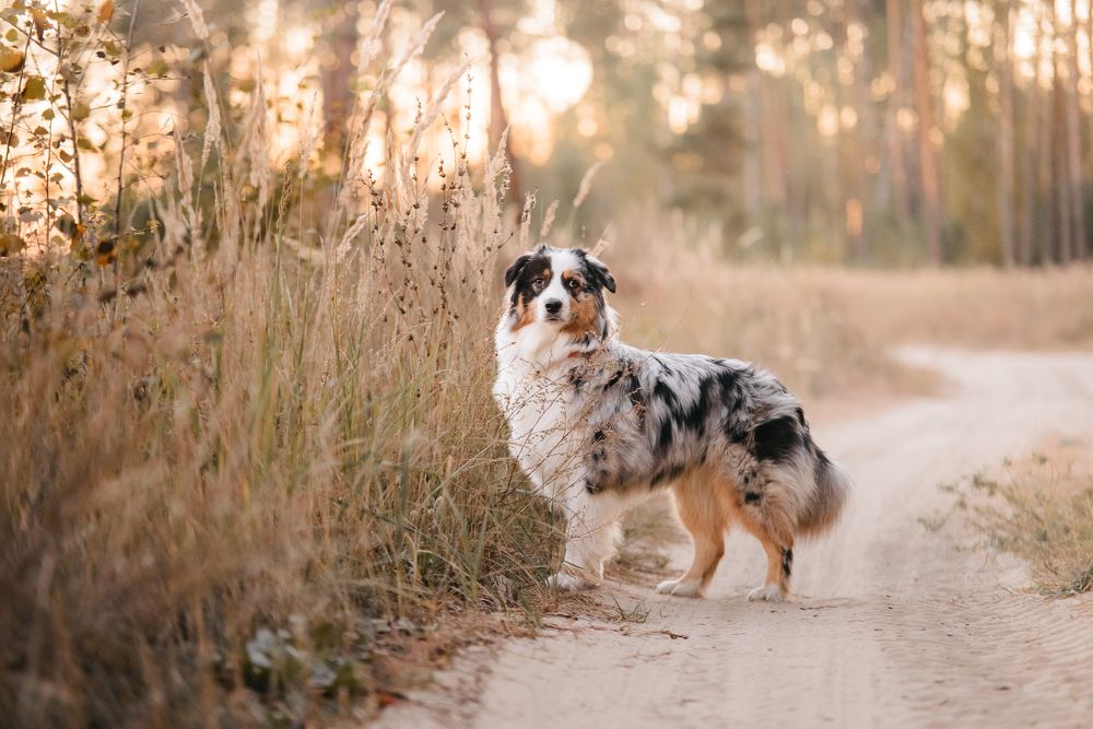 Photograph by Илья Кузнецов