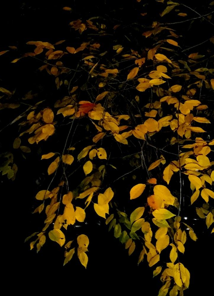 Photograph by Юрий Хортов