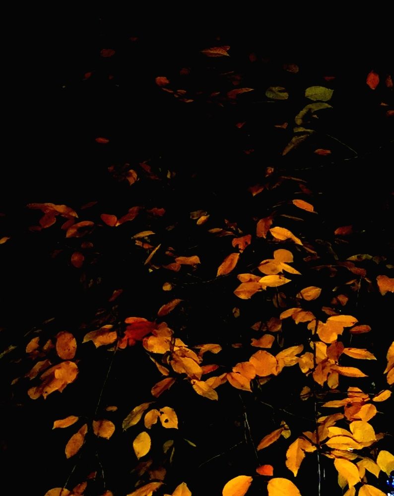 Photograph by Юрий Хортов