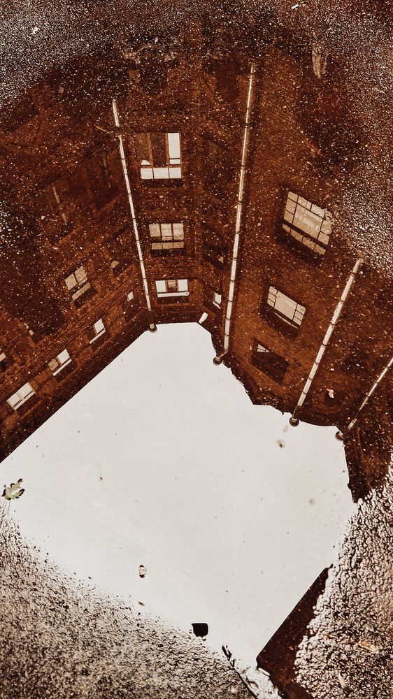 Photograph by Мария Петровцева