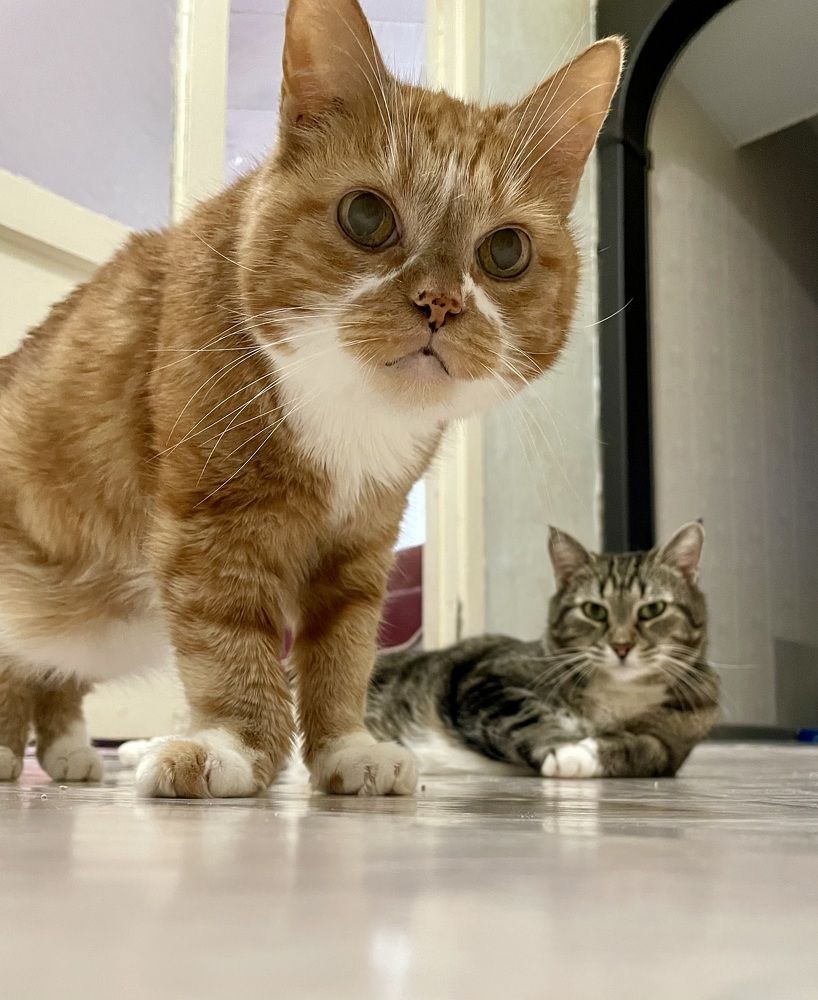 Photograph by Татьяна Раковская