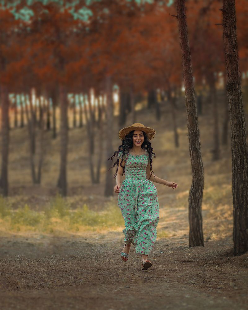 Фотография автора morteza solgi