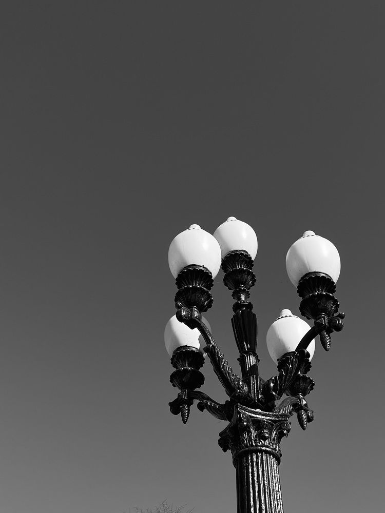 Photograph by Ekaterina