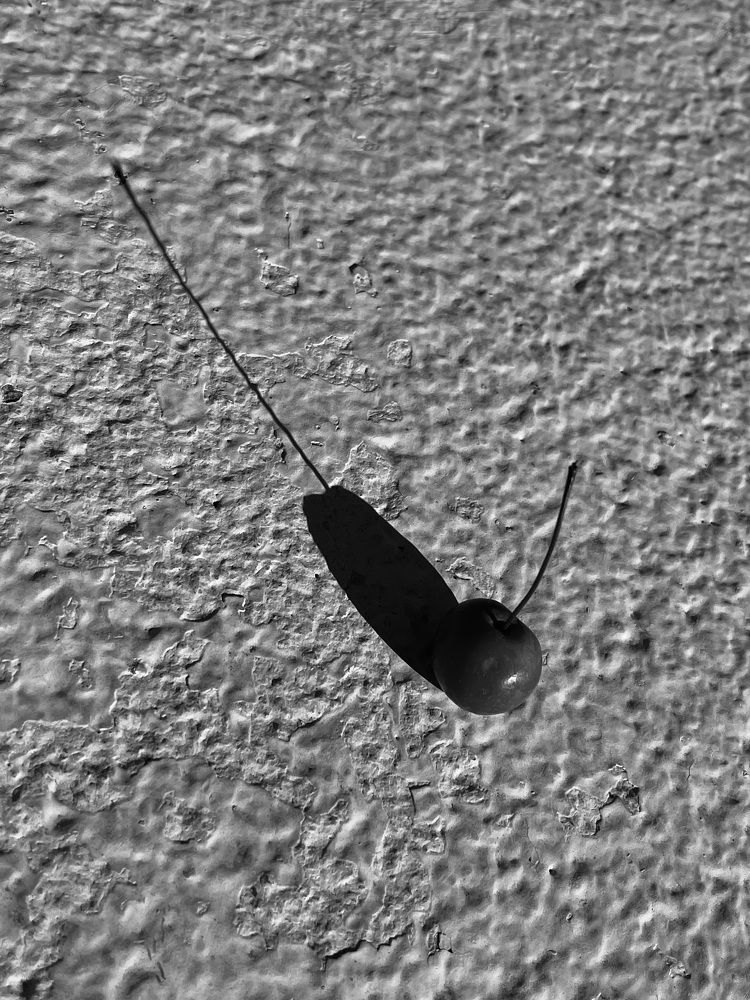 Photograph by Ekaterina