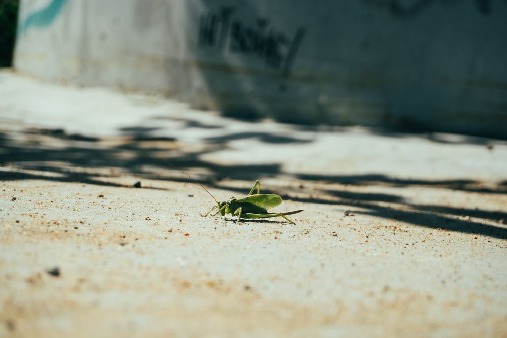 Photograph by Артем Порубаев