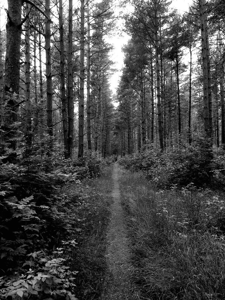 Photograph by Georgiy Fedotov