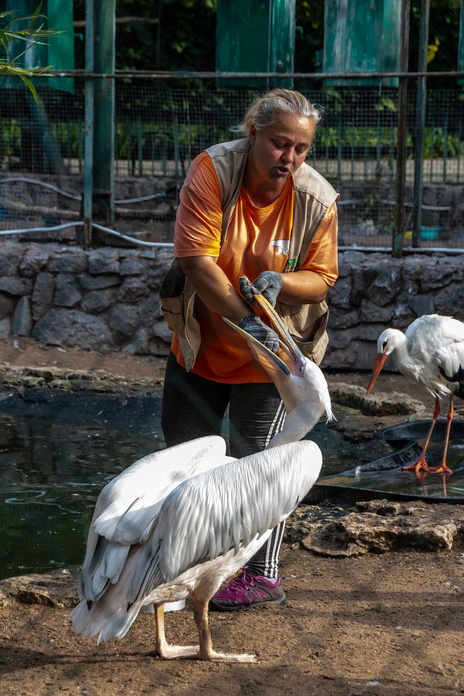 Photograph by Наталья Веряскина