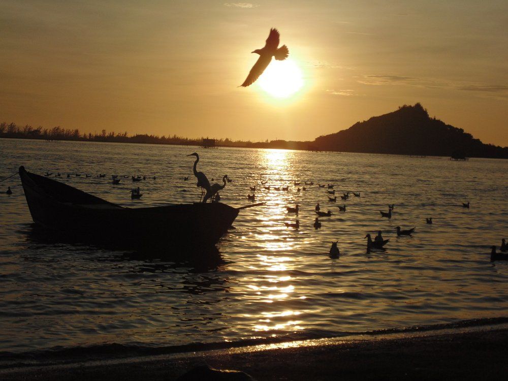 Liberdade