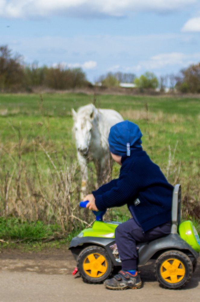 белый конь.