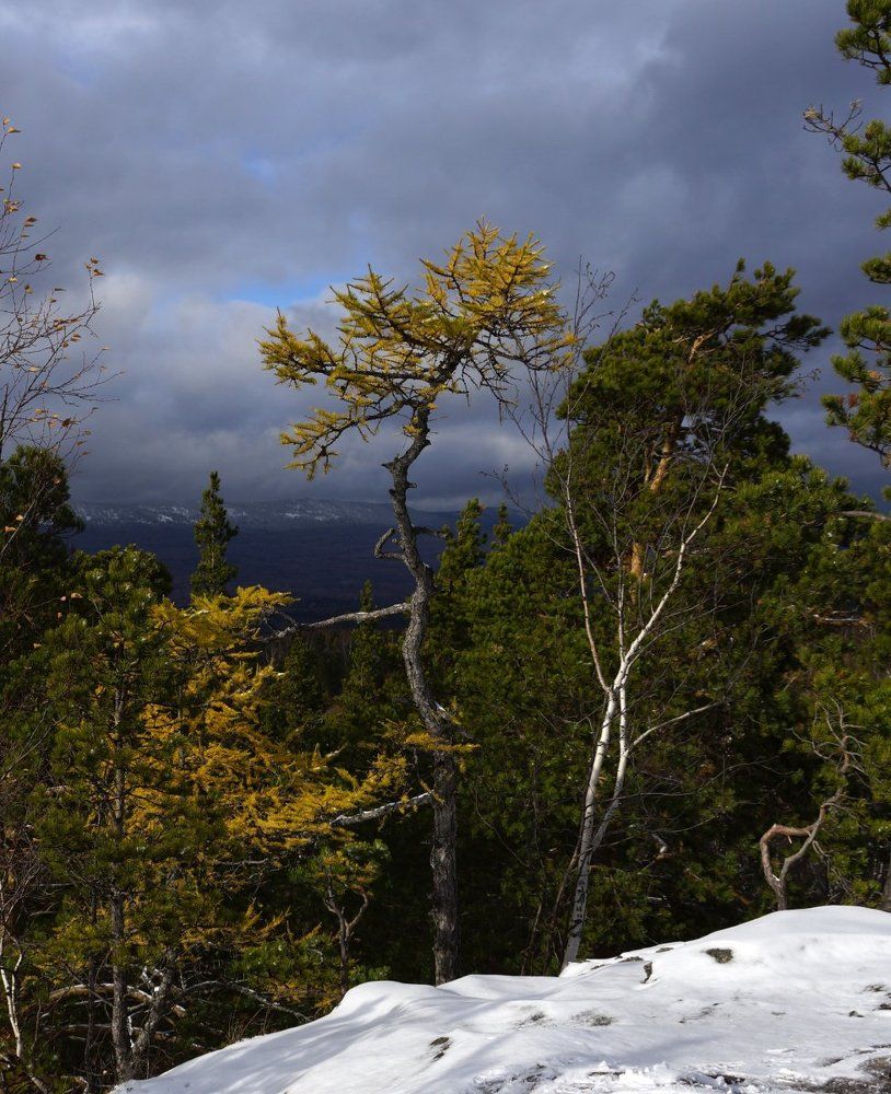 Осени мгновения...