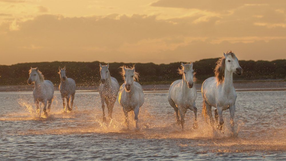 Photograph by Jevgenija Sepeliova