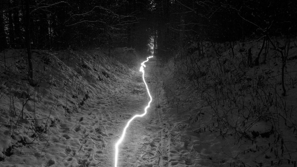 Дорога домой