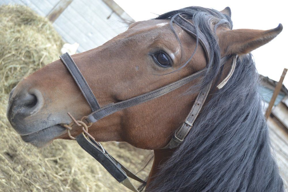 Photograph by Анастасия