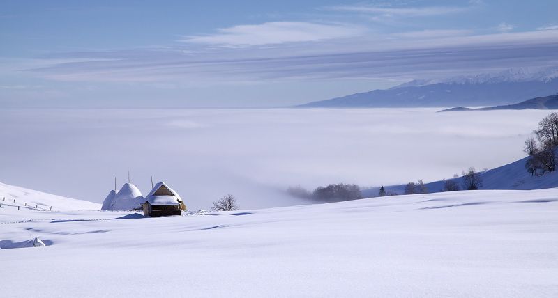 Olesya Pasha, Moldova