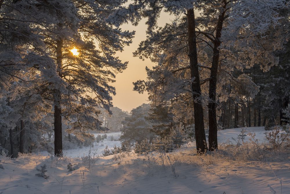 Зимний вечер