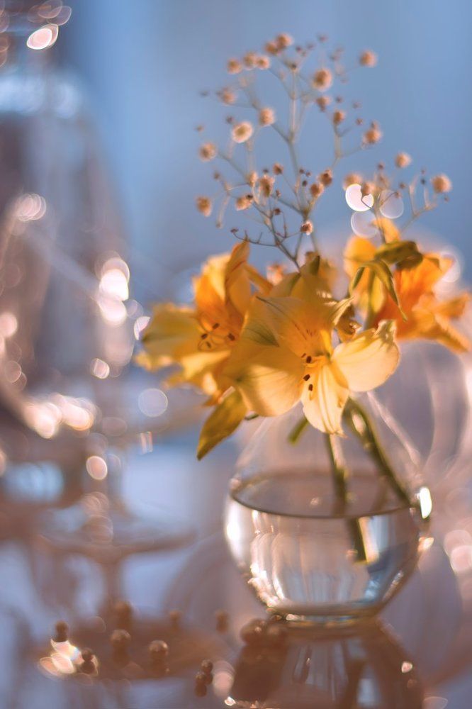 Солнечный вечер