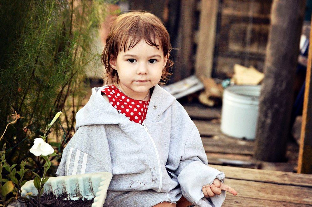 Позднее лето