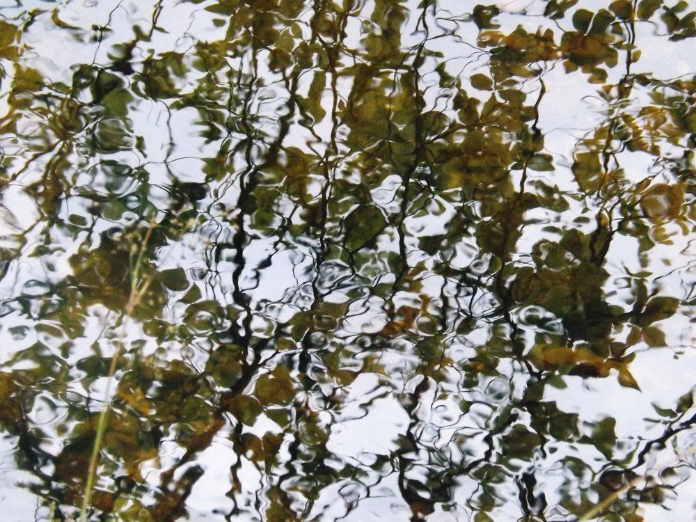 Reflections