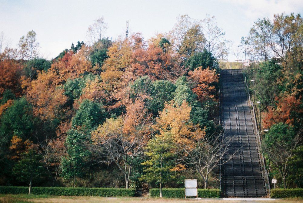 the spirit of autumn