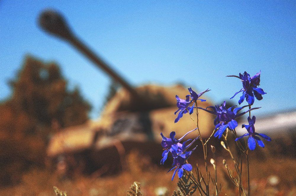 Долгожданная тишина