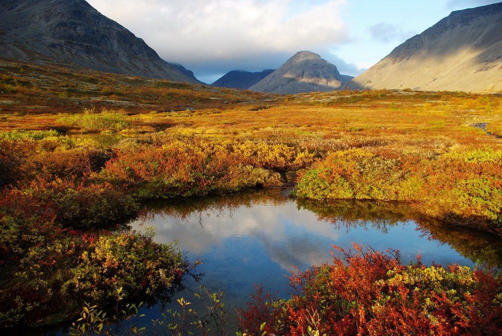 В долине реки Малая Белая