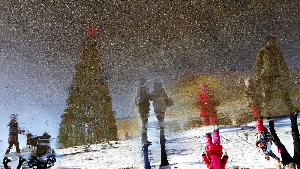 Отражение в луже