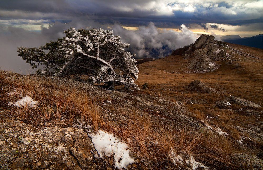Зимний день в Крыму