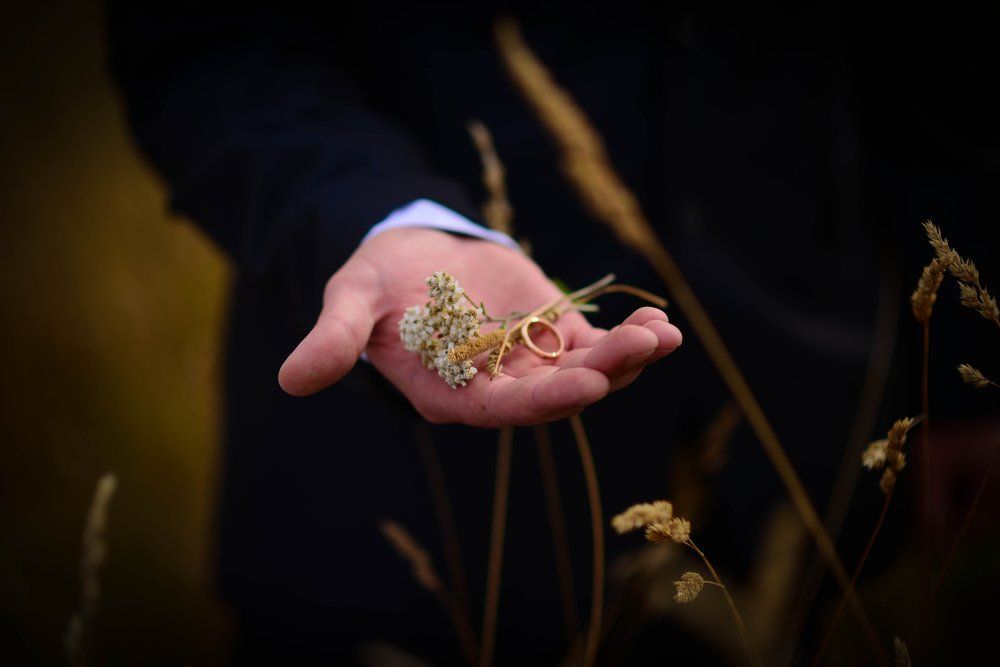 Семейные узы