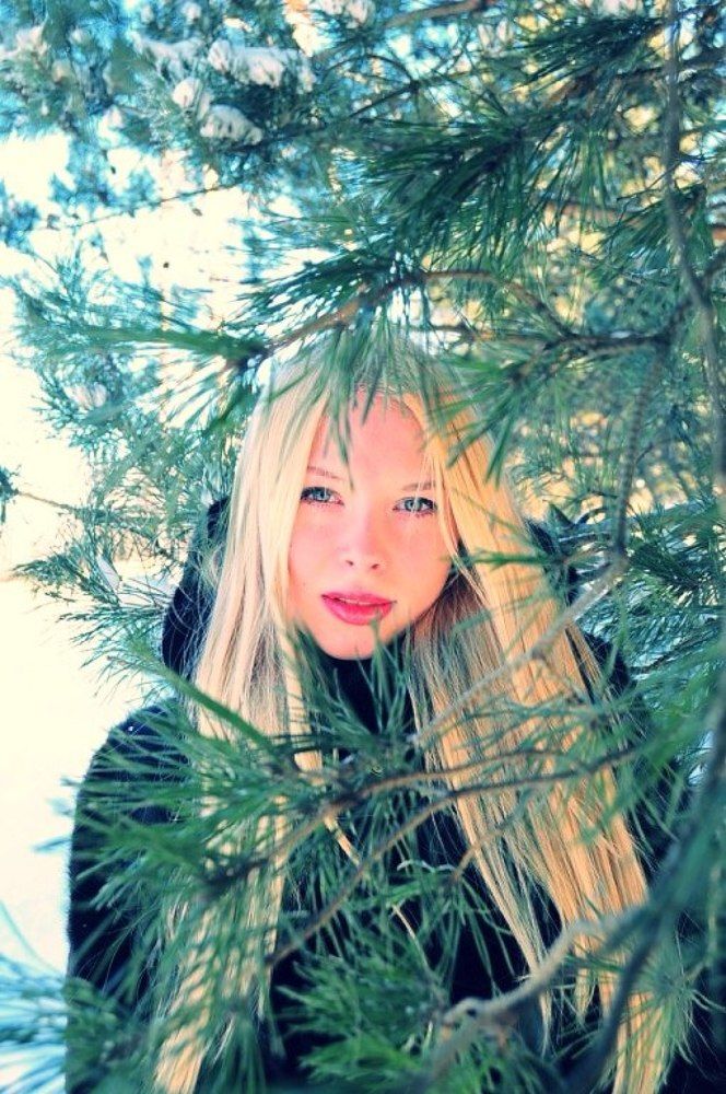 Зимняя сказка