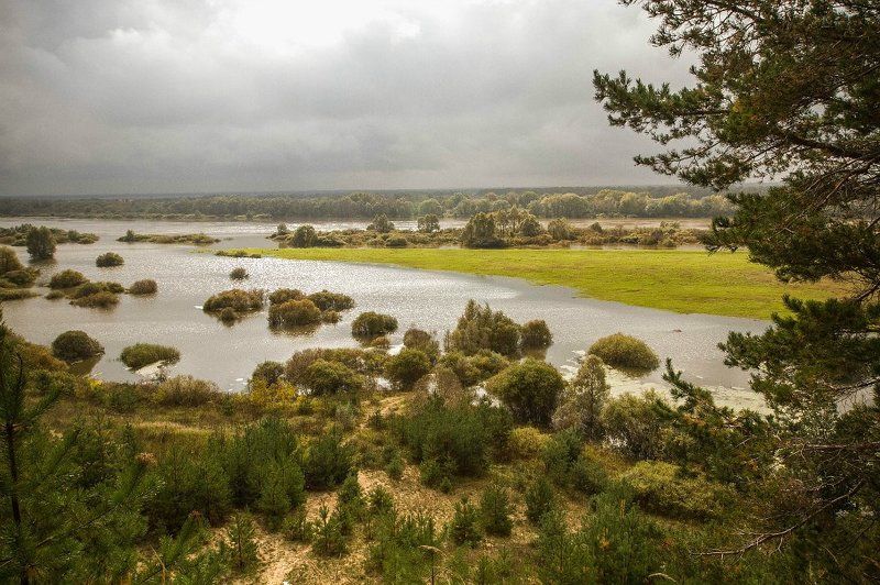 Коршунова Татьяна, Russia