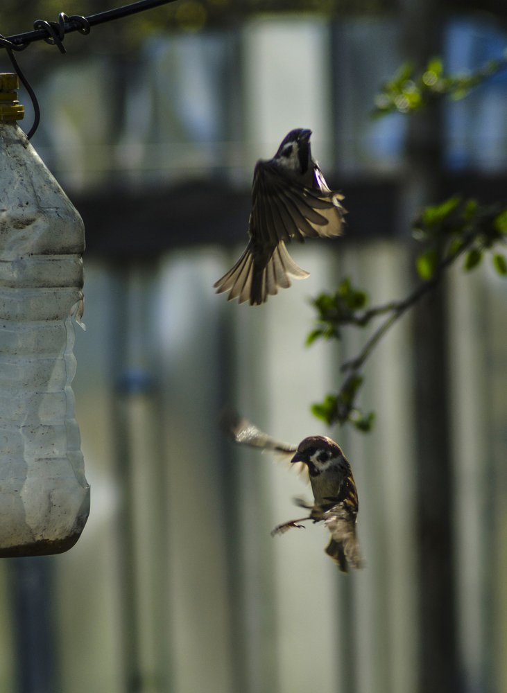 Чуть не столкнулись!